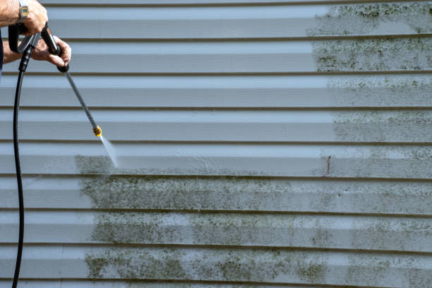 Best Basement Cleanout  in Newberry, FL